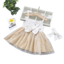 Infant Girls Clothes Baby Summer Clothing suit Sets Cotton Sleeveless Baby Dress Headdress Children Party Princess Clothing